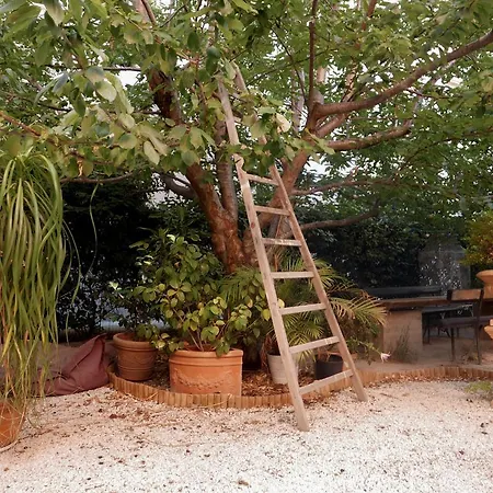 Guest house Vieux Port Panier Jardin Marseille