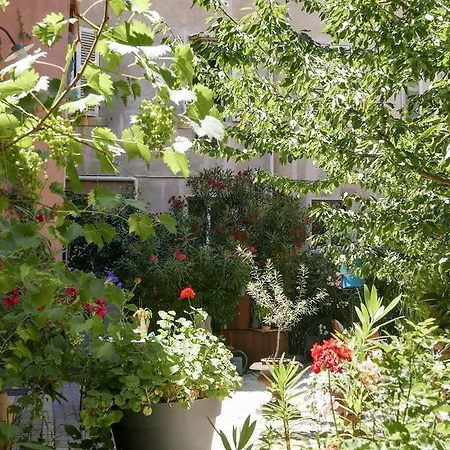 Vieux Port Panier Jardin *
