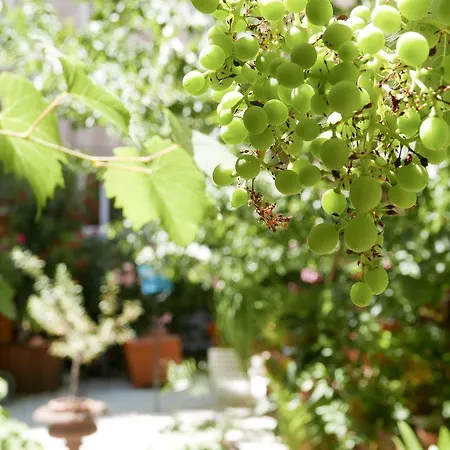 Vieux Port Panier Jardin Marseille