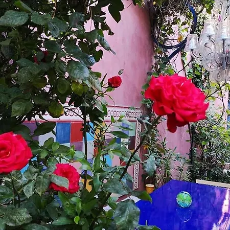 Vieux Port Panier Jardin Guest house