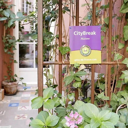 Bnb Vieux Port Panier Jardin *