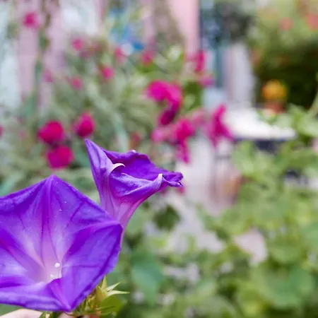 Bnb Vieux Port Panier Jardin * Marseille