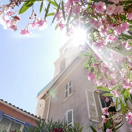 Bnb Vieux Port Panier Jardin *