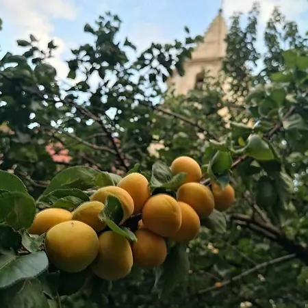 Bnb Vieux Port Panier Jardin Gæstehus Marseille
