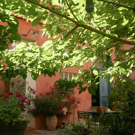 Vieux Port Panier Jardin * Marseilles